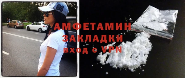 прущие грибы Елизово