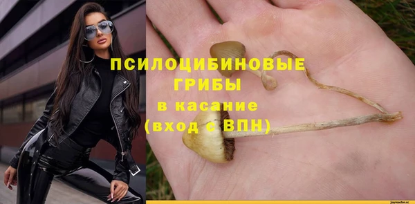 дживик Балахна