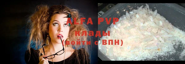 сатива Баксан