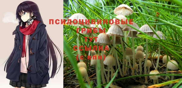 прущий лед Балабаново