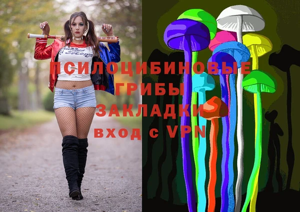 сатива Баксан