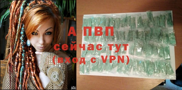 сатива Баксан