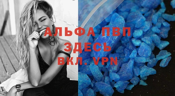 сатива Баксан