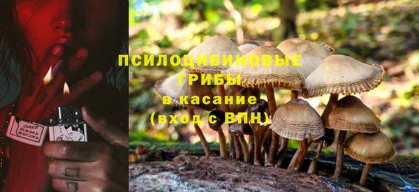 сатива Баксан
