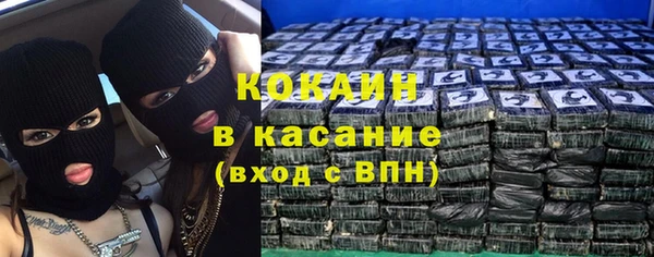сатива Баксан
