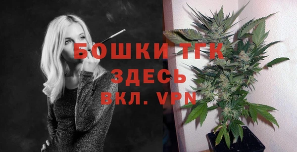 дживик Балахна