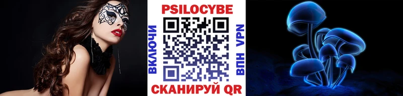 Галлюциногенные грибы Psilocybine cubensis  Вытегра 